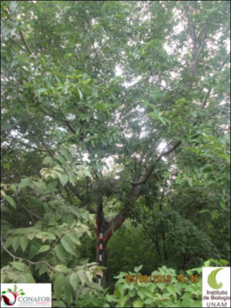 43935_S4_ARC_20130905_006.jpg.jpg