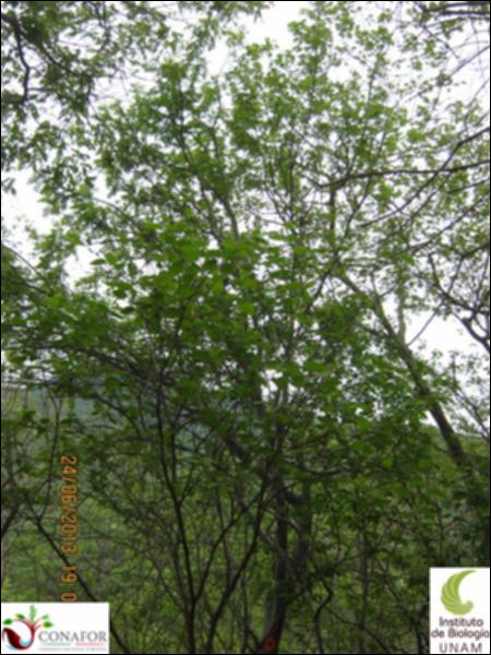 65752_S1_ARC_20130624_006.jpg.jpg