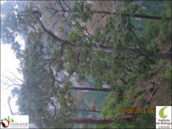 37997_S1_ARC_20130815_002.jpg.jpg