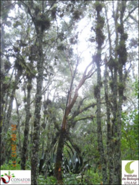 72256_S1_ARC_20130925_031_001.jpg.jpg