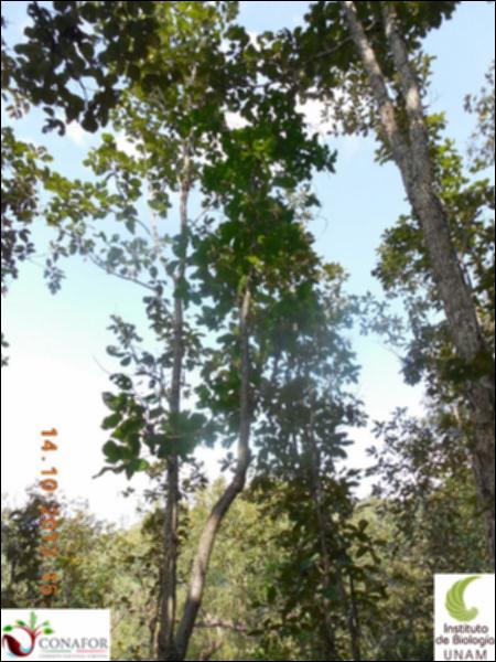 69973_S1_ARC_20131014_015_002.jpg.jpg