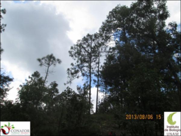 45774_S1_ARC_20130806_001.jpg.jpg