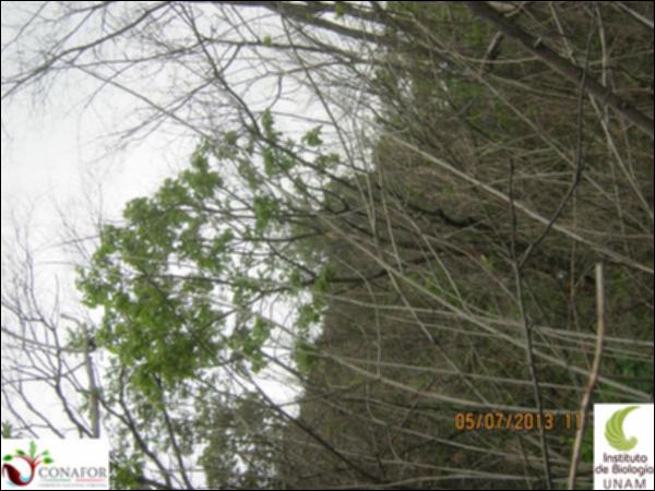 60306_S2_ARC_20130705_003.jpg.jpg