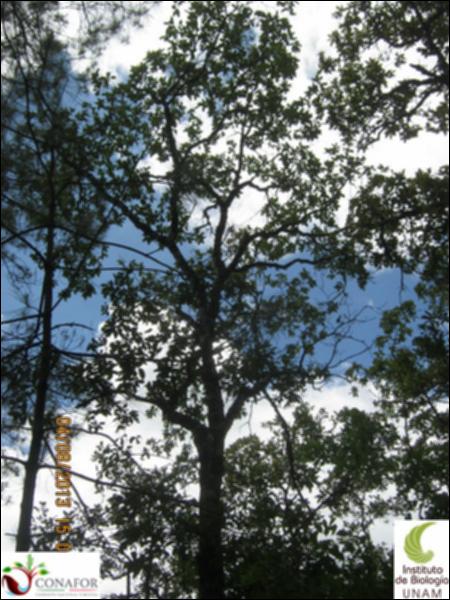 72899_S2_ARC_20130804_002_002.jpg.jpg