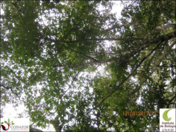 54261_S4_ARC_20130812_004.jpg.jpg