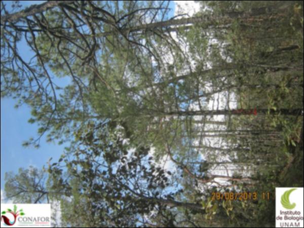 36925_S4_ARC_20130829_034.jpg.jpg