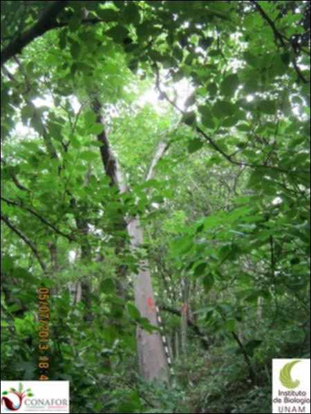 77672_S1_ARC_20130705_003_001.jpg.jpg