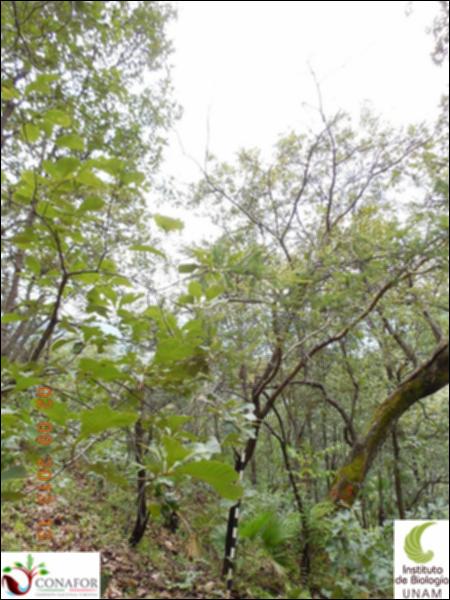 70676_S3_ARC_20130902_008_001.jpg.jpg