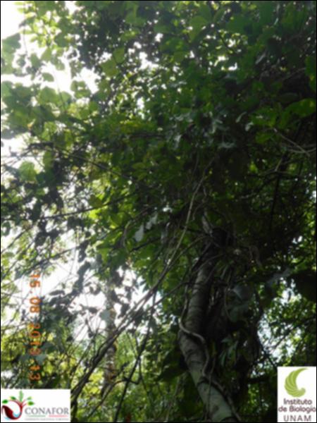 76944_S1_ARC_20130815_010_001.jpg.jpg