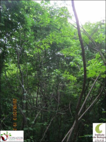 77577_S1_ARC_20130628_032_002.jpg.jpg