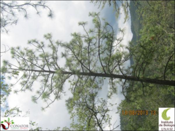 37346_S1_ARC_20130813_004.jpg.jpg