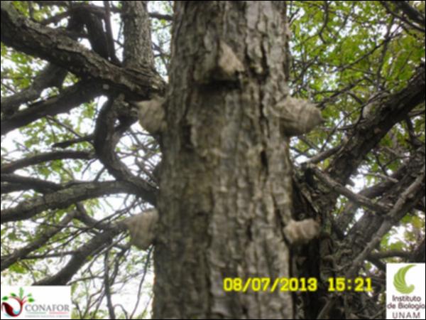 64622_S2_CRT_20130708_008.jpg.jpg
