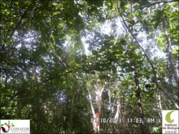53295_S1_ARC_20131007_004_001.jpg.jpg