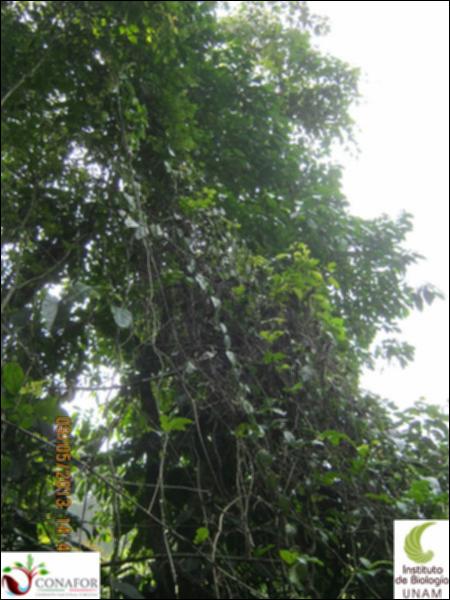 70083_S1_ARC_20130509_001_002.jpg.jpg