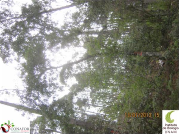 60311_S2_ARC_20130713_001.jpg.jpg