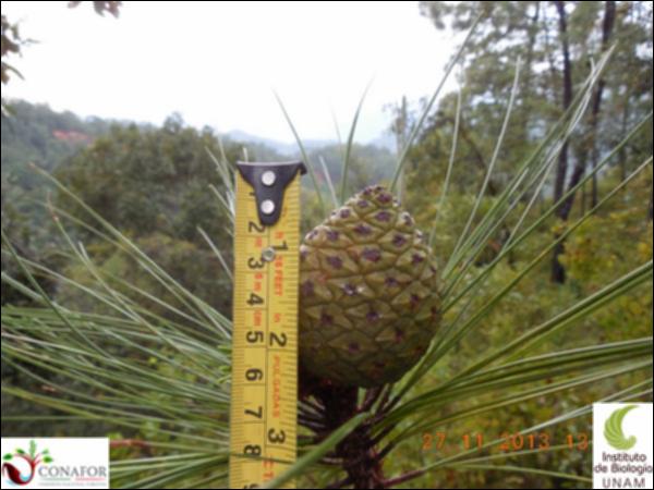 71997_S2_FRT_20131127_006_001.jpg.jpg