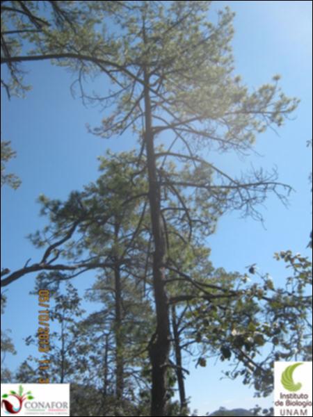 34890_S4_ARC_20131005_020.jpg.jpg