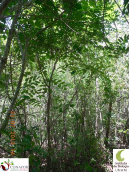 76399_S4_ARC_20130721_010_001.jpg.jpg