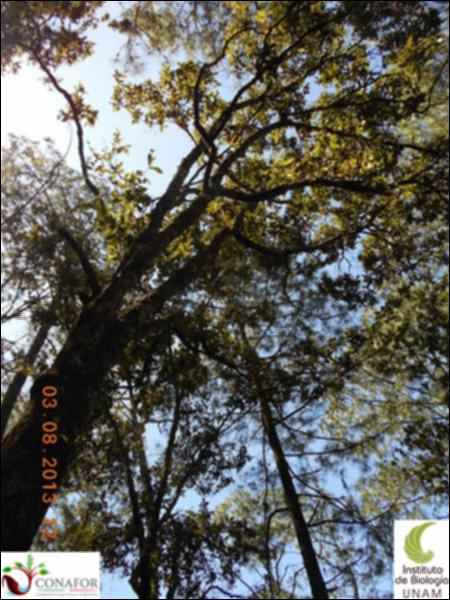72874_S1_ARC_20130802_001_002.jpg.jpg