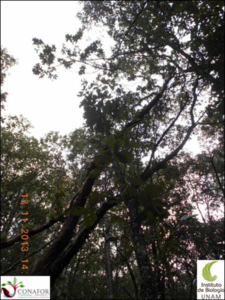 73326_S1_ARC_20131113_021_002.jpg.jpg