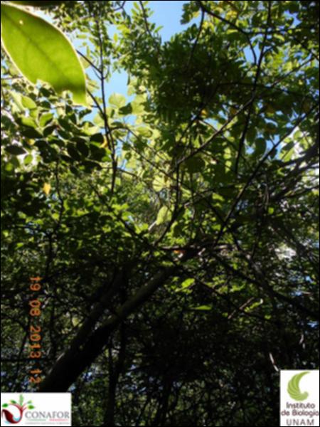70944_S2_ARC_20130819_004_002.jpg.jpg