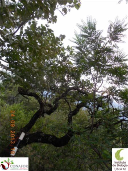 66090_S2_ARC_20130924_004_002.jpg.jpg