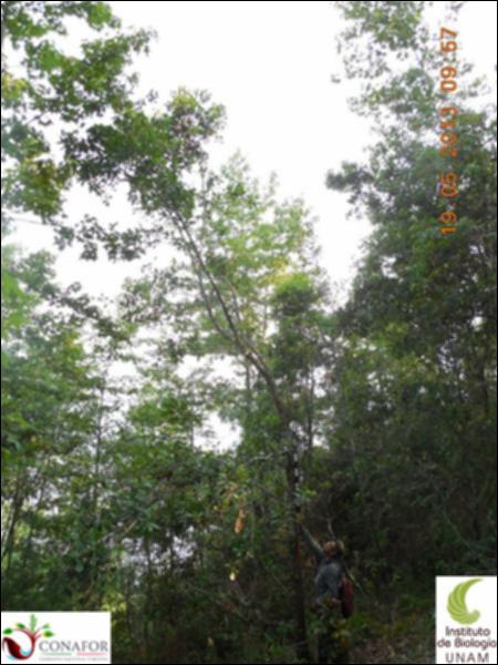 72714_S1_ARC_20130519_024_001.jpg.jpg