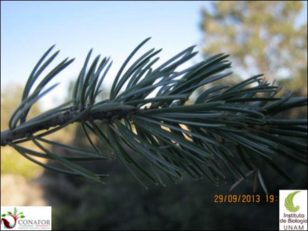 00239_S1_HJ1_201329009_005.jpg.jpg