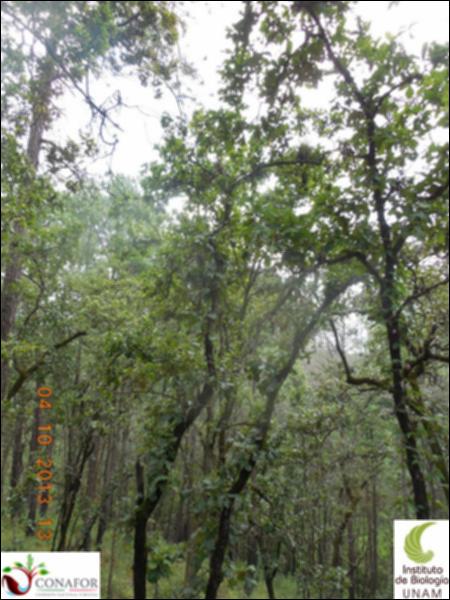 62597_S1_ARC_20131004_008_002.jpg.jpg