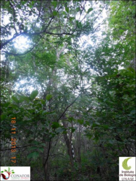 65189_S3_ARC_20131118_005_001.jpg.jpg