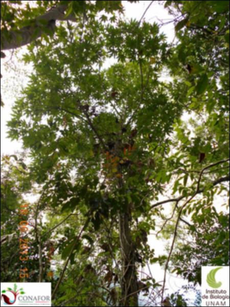 77277_S4_ARC_20130618_006_002.jpg.jpg