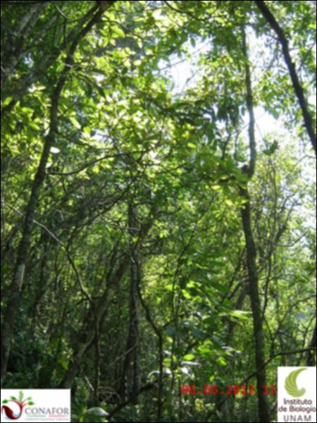 49507_S1_ARC_20130605_008.jpg.jpg