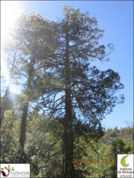 17284_S3_ARC_20131026_008.jpg.jpg