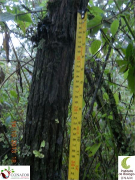 62862_S2_CRT_20131019_004_001.jpg.jpg