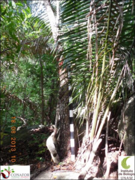 77345_S1_ARC_20130817_003_001.jpg.jpg