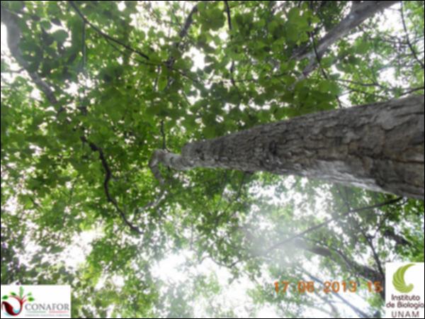 51199_S2_ARC_20130614_008_001.jpg.jpg