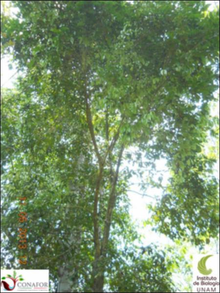 71892_S3_ARC_20130510_016_002.jpg.jpg
