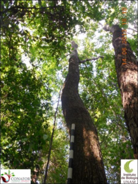 71872_S2_ARC_20130614_005_002.jpg.jpg