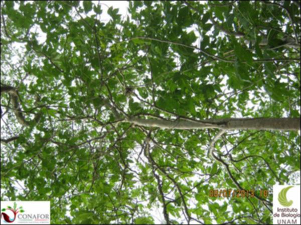 66904_S1_ARC_20130708_005.jpg.jpg