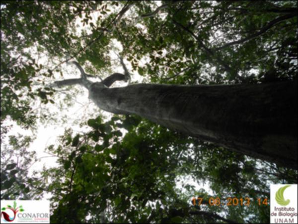 51199_S1_ARC_20130614_002_001.jpg.jpg