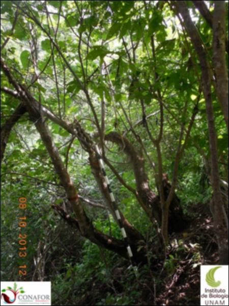 62340_S1_ARC_20131008_002_001.jpg.jpg