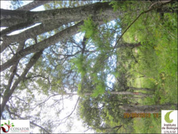 49407_S4_ARC_20130929_007.jpg.jpg