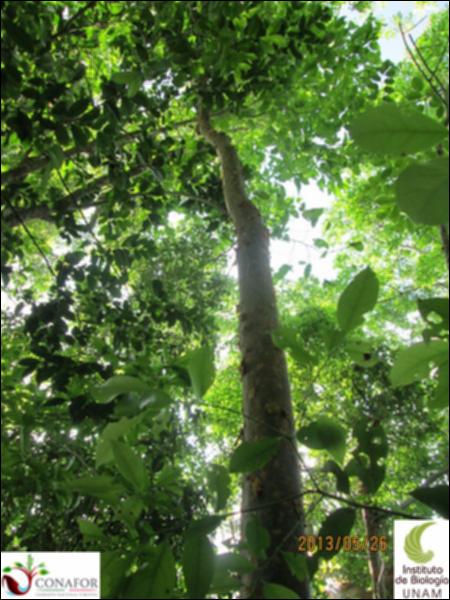 59434_S1_ARC_20130526_010_001.jpg.jpg