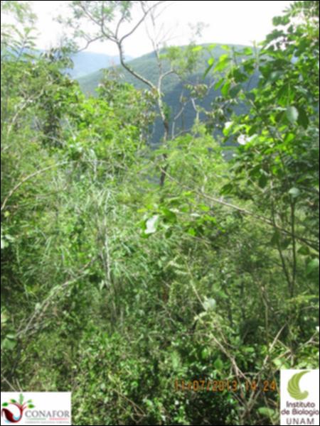 44426_S1_ARC_20130711_019.jpg.jpg