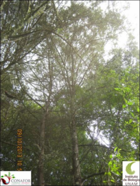 65209_S2_ARC_20131008_021_002.jpg.jpg