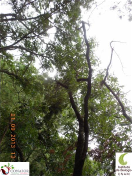 73473_S1_ARC_20130913_011_002.jpg.jpg