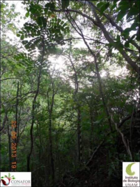 75179_S2_ARC_20130622_001_001.jpg.jpg