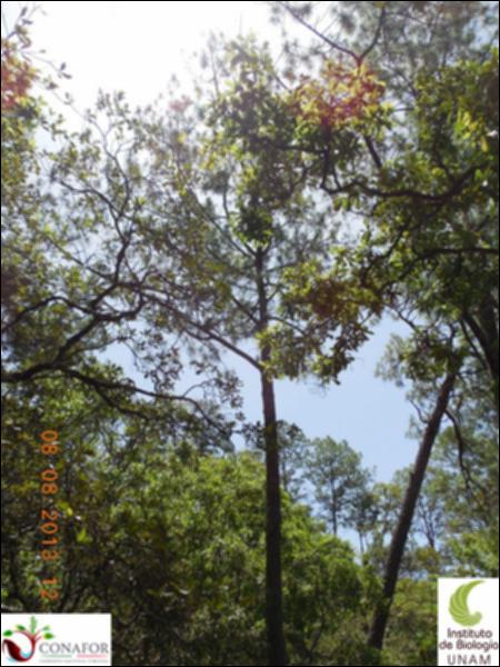 73503_S2_ARC_20130808_013_001.jpg.jpg