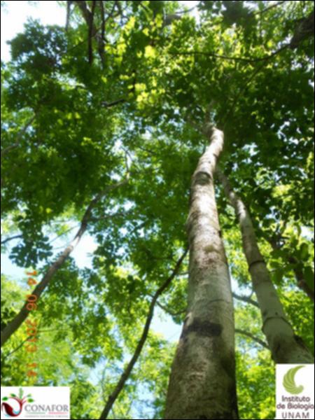 49807_S4_ARC_20130614_047_001.jpg.jpg
