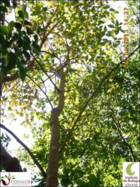 58873_S2_ARC_20130418_006_002.jpg.jpg